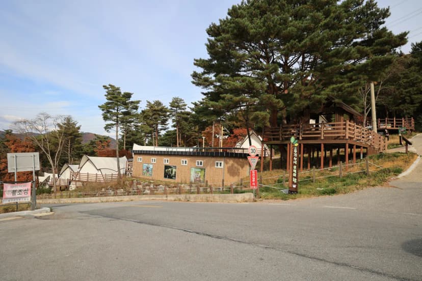 숲속야영장 사진 4