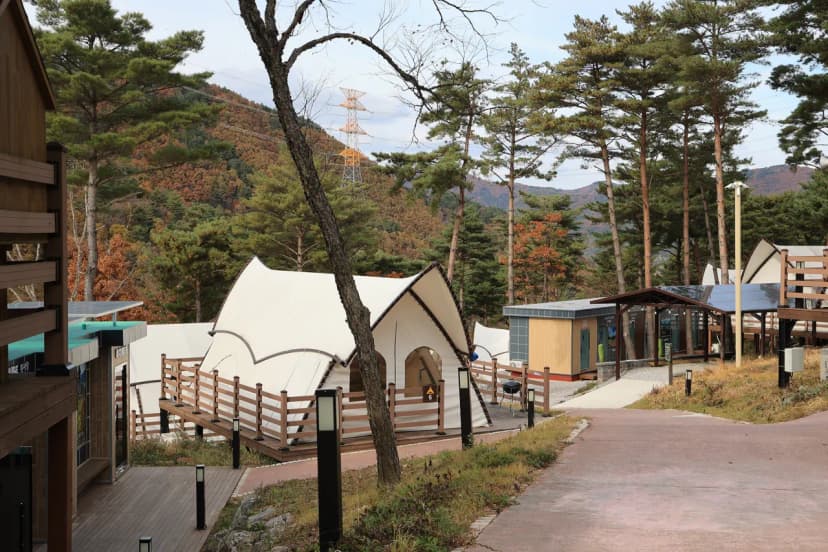 숲속야영장 사진 9