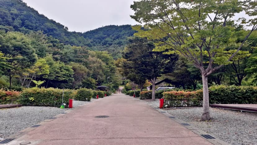 대둔산 수락오토캠핑장 사진 4