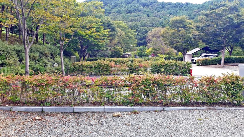 대둔산 수락오토캠핑장 사진 6