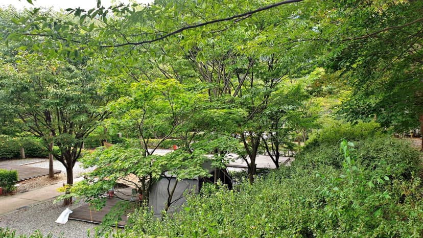 대둔산 수락오토캠핑장 사진 19