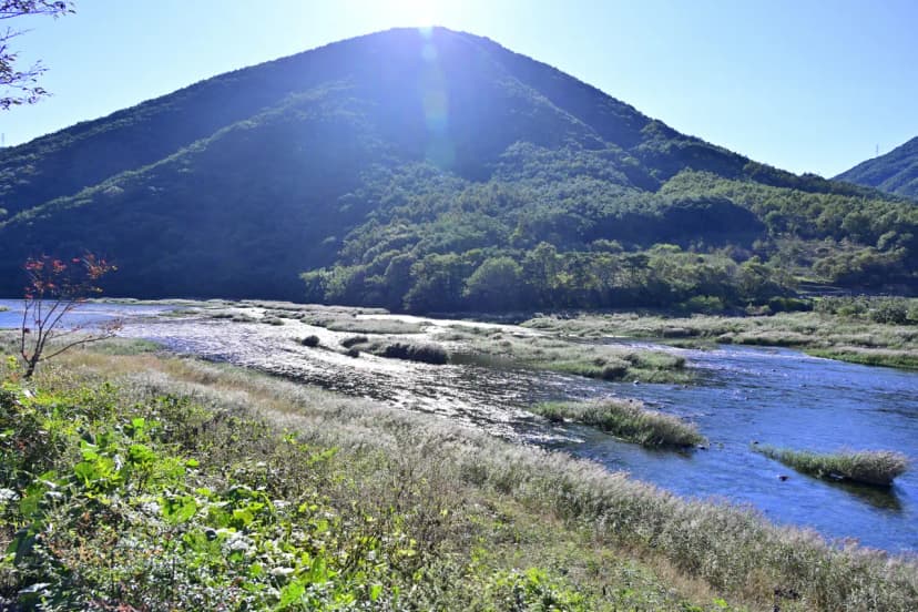 자양보오토캠핑장 사진 7