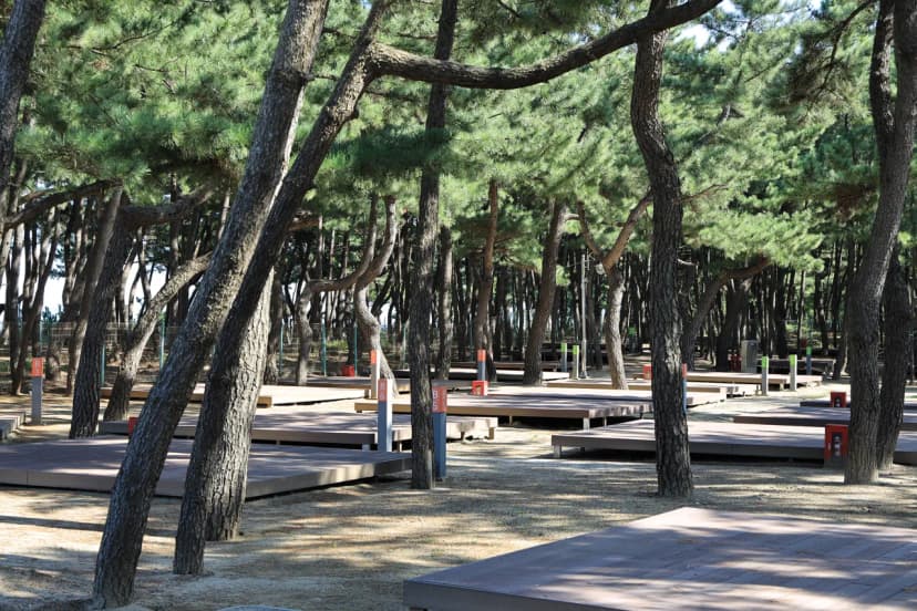 성북구 삼척수련원 사진 5