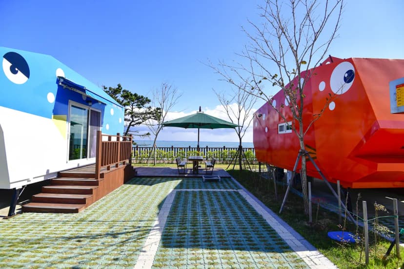 강동오토캠핑장 사진 13