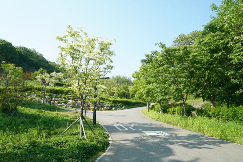 천왕산 가족캠핑장 사진 9