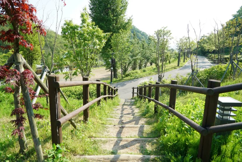 천왕산 가족캠핑장 사진 10