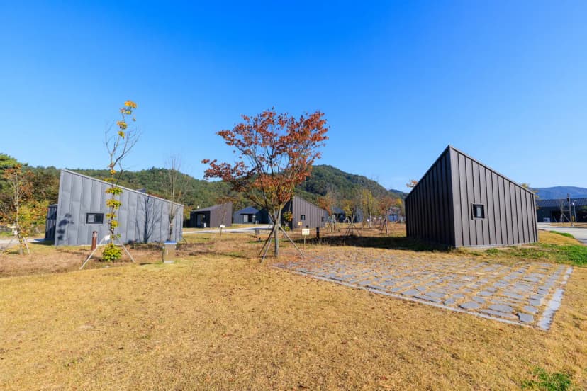 고운마을캠핑장 사진 10