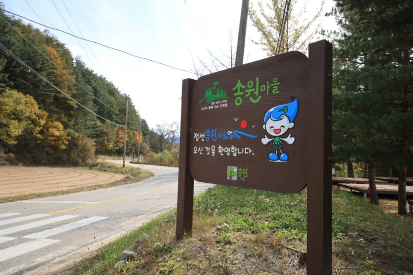 솔미캠핑장 사진 6