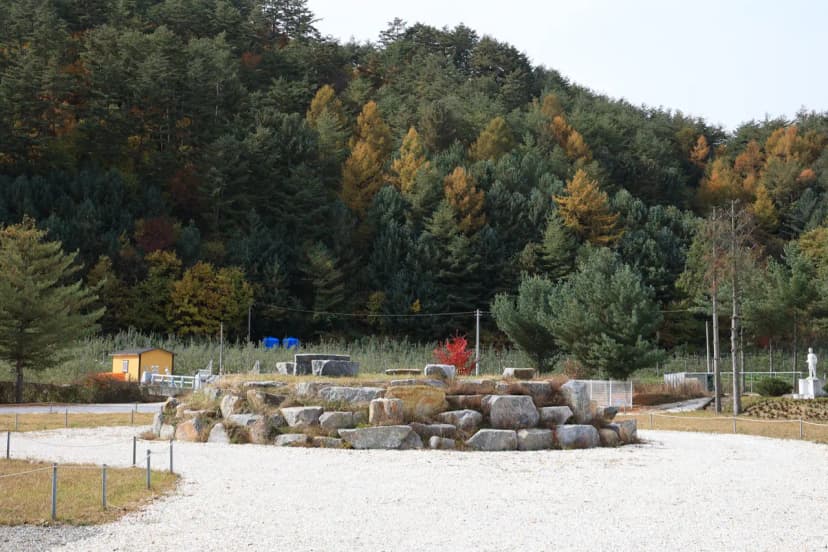 솔미캠핑장 사진 7