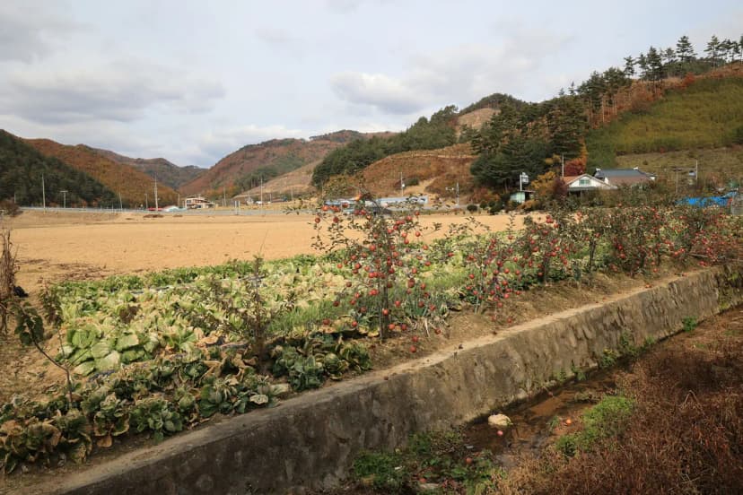 솔미캠핑장 사진 17