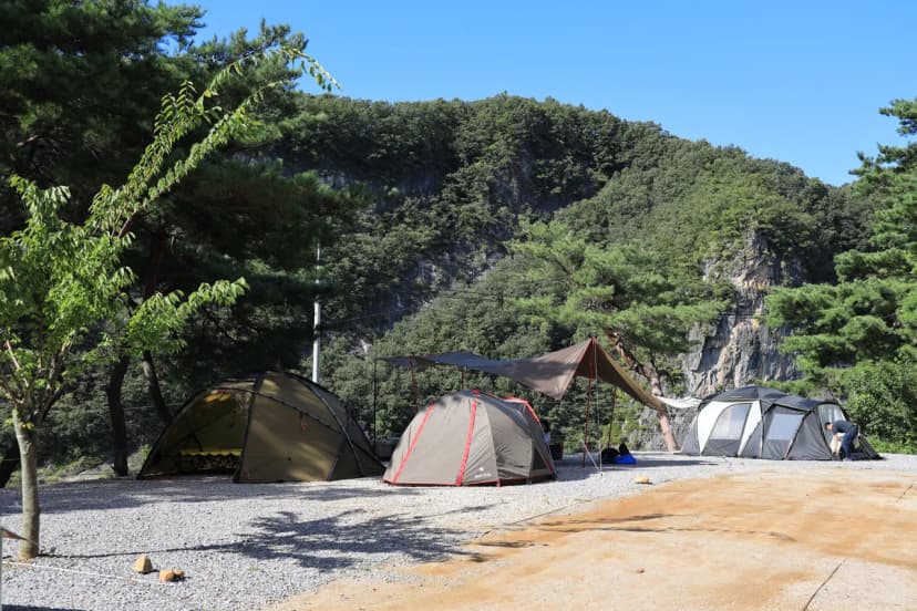 영월한반도캠핑장 사진 6