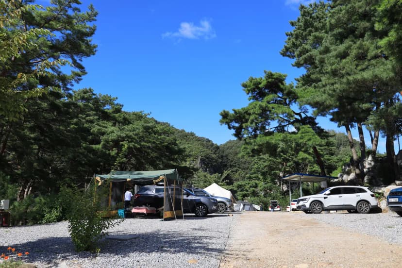 영월한반도캠핑장 사진 8