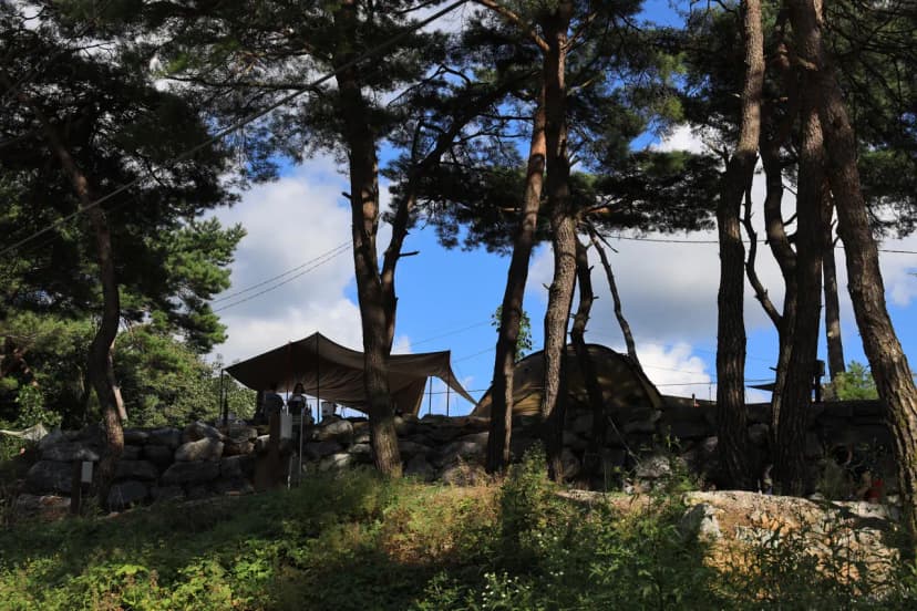 영월한반도캠핑장 사진 9