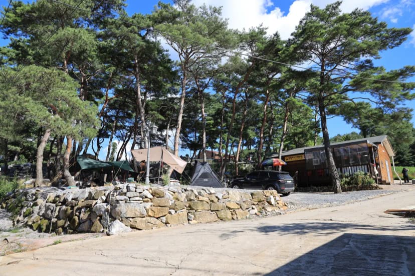 영월한반도캠핑장 사진 11