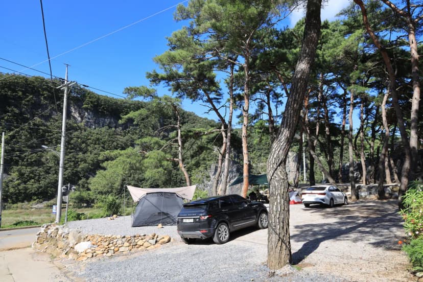 영월한반도캠핑장 사진 13