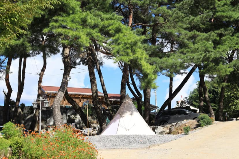 영월한반도캠핑장 사진 17
