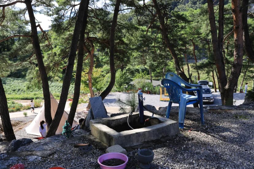영월한반도캠핑장 사진 21