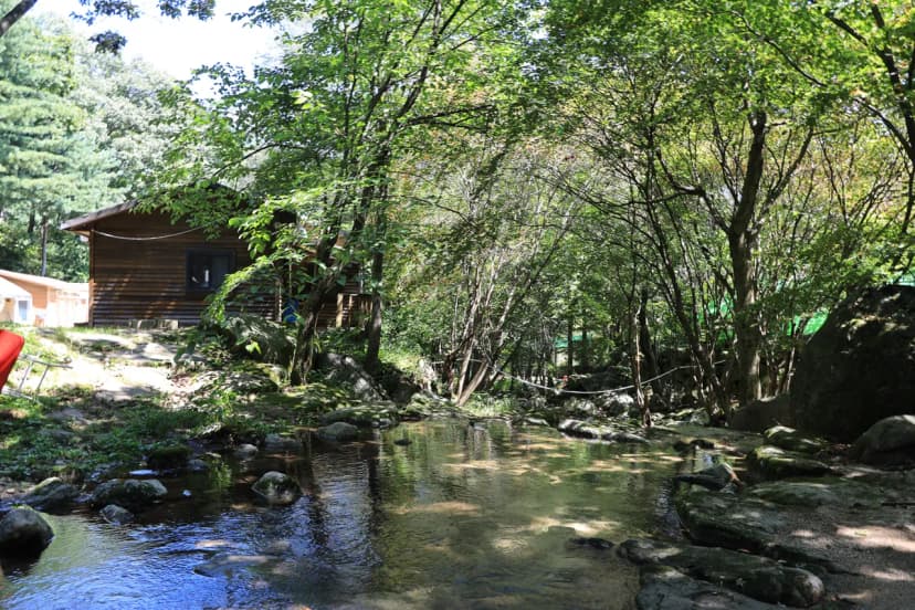 광덕그린농원 야영장 사진 15