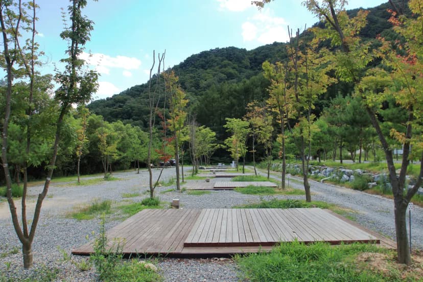 덕동계곡오토캠핑장 사진 11