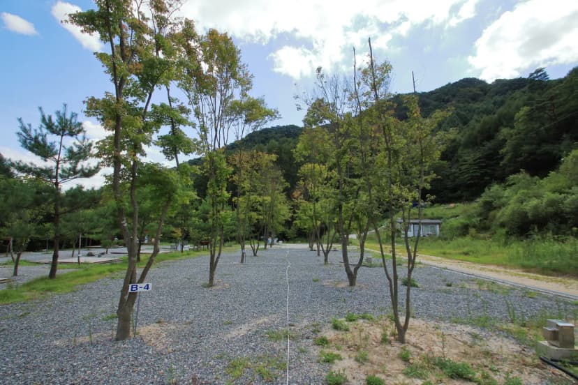 덕동계곡오토캠핑장 사진 17