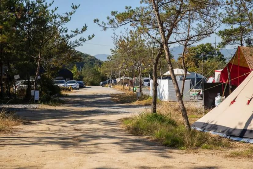 양주 리온 캠핑장 사진 1