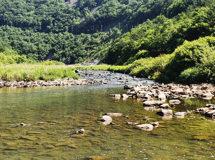 바람부리 별밤 캠핑장 사진 4