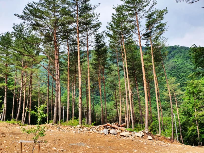 바람부리 별밤 캠핑장 사진 5