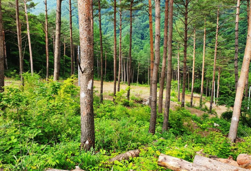 바람부리 별밤 캠핑장 사진 6
