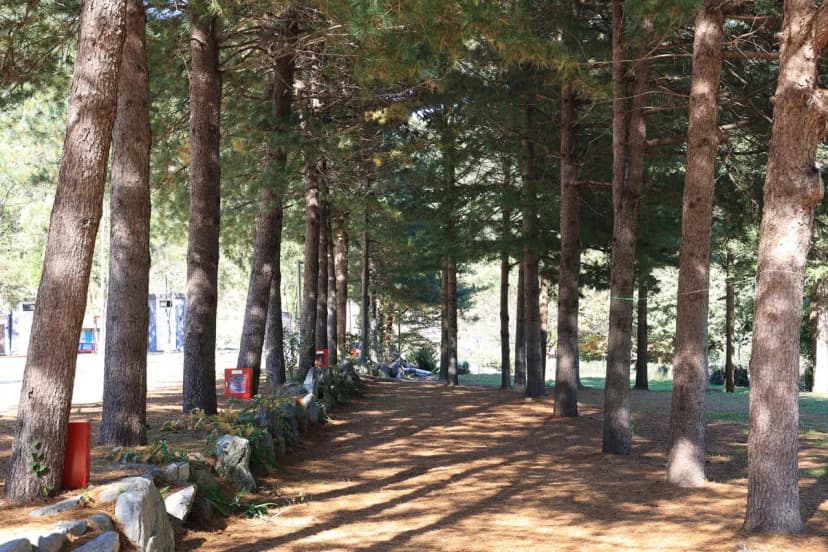 수산하늘풍경 사진 15