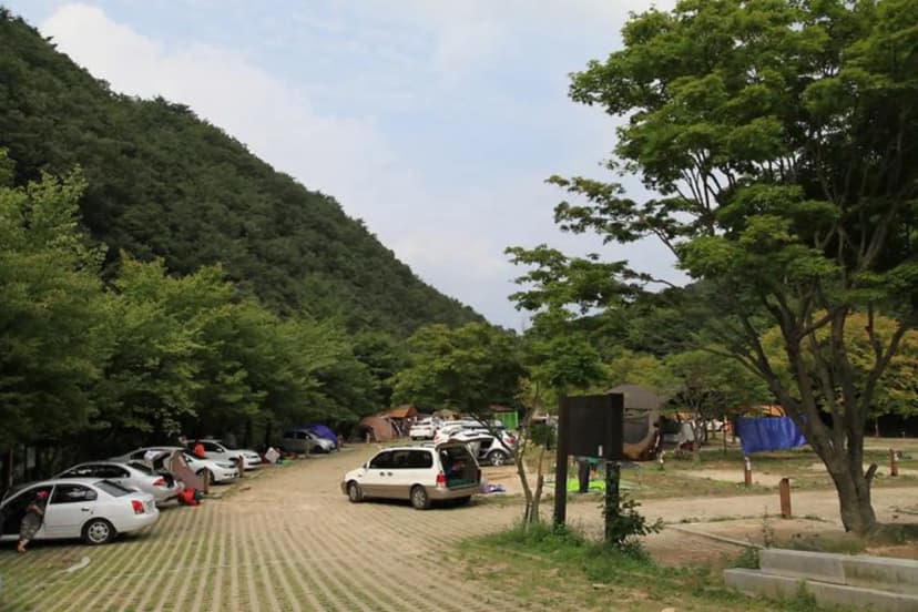덕동자동차야영장 사진 3