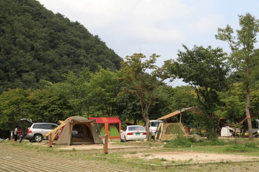 덕동자동차야영장 사진 6