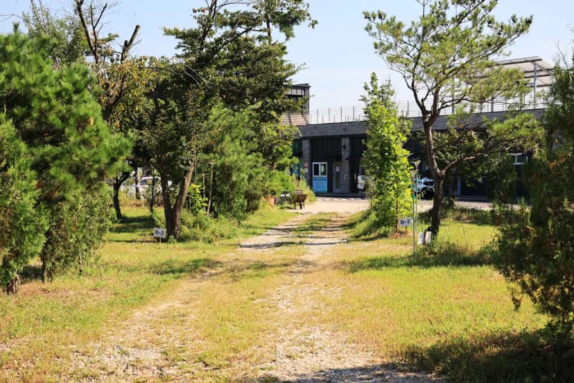 은지가족야영장 사진 6