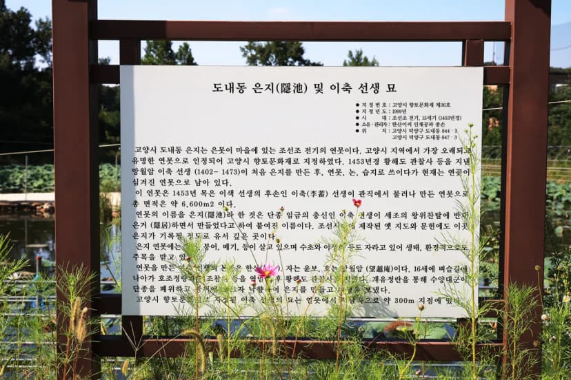 은지가족야영장 사진 7
