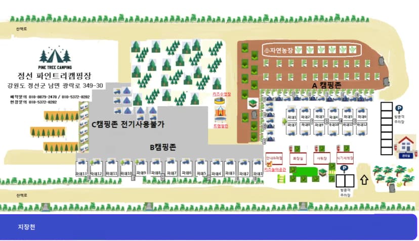 파인트리캠핑장 사진 2