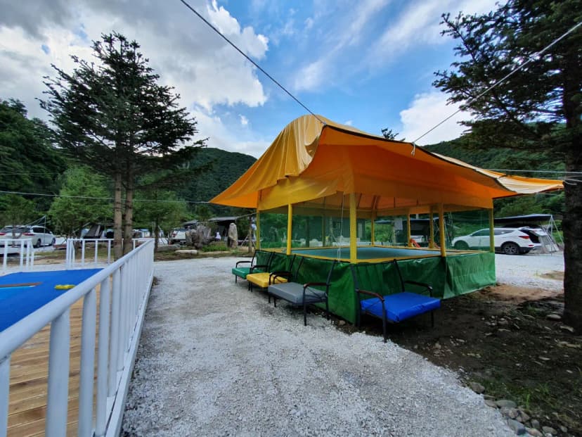 파인트리캠핑장 사진 7