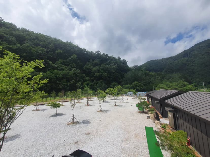 파인트리캠핑장 사진 10