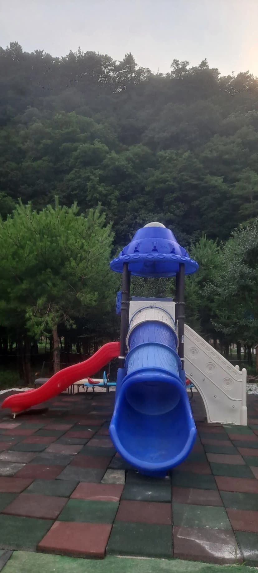 파인트리캠핑장 사진 13