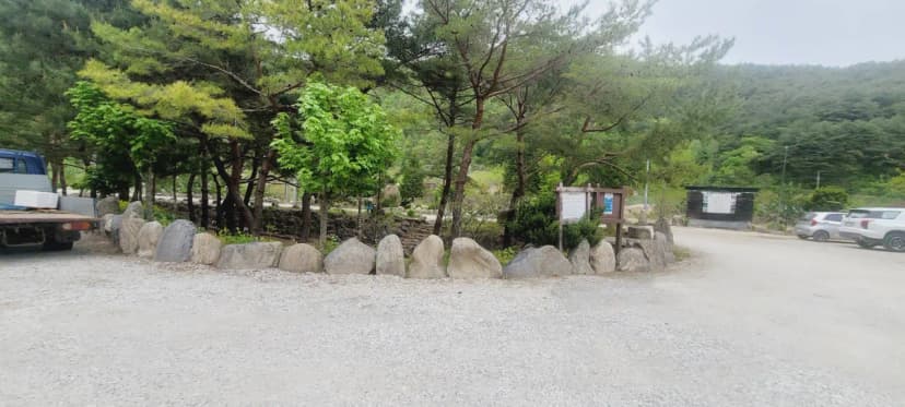 파인트리캠핑장 사진 14