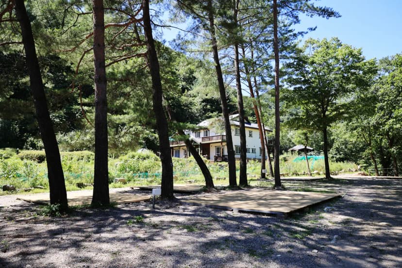 평창하늘캠핑장 사진 13