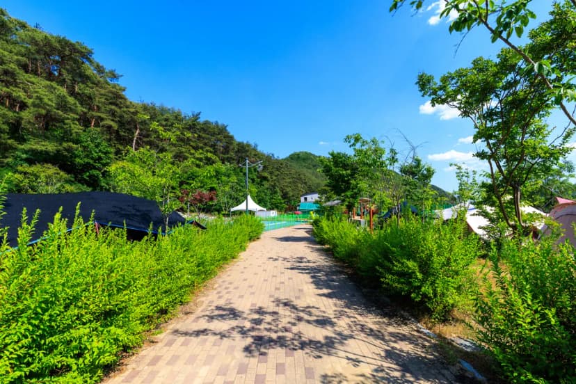 남작골 농촌체험휴양마을 야영장 사진 4