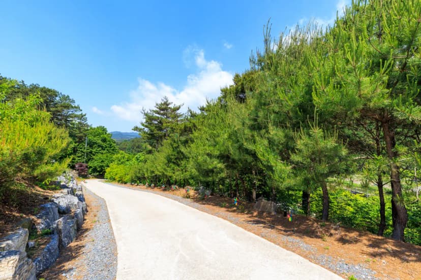 별바라기 캠핑 펜션 사진 5
