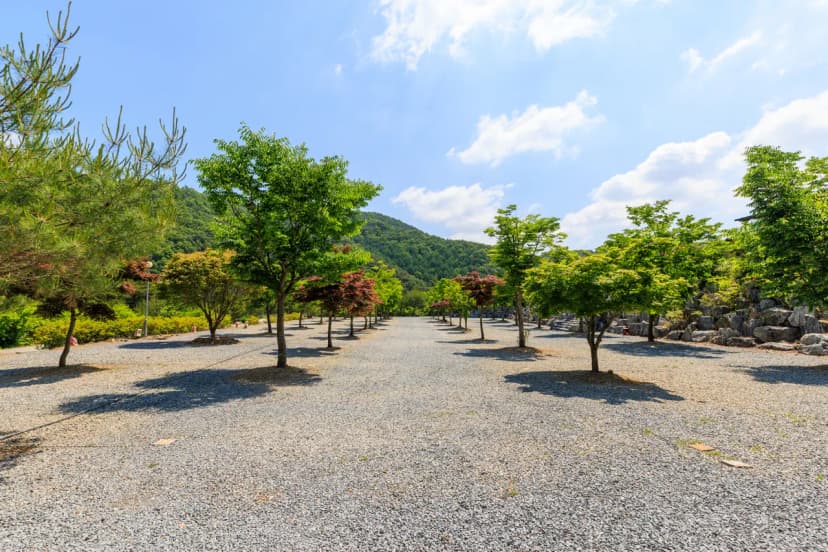 별바라기 캠핑 펜션 사진 6