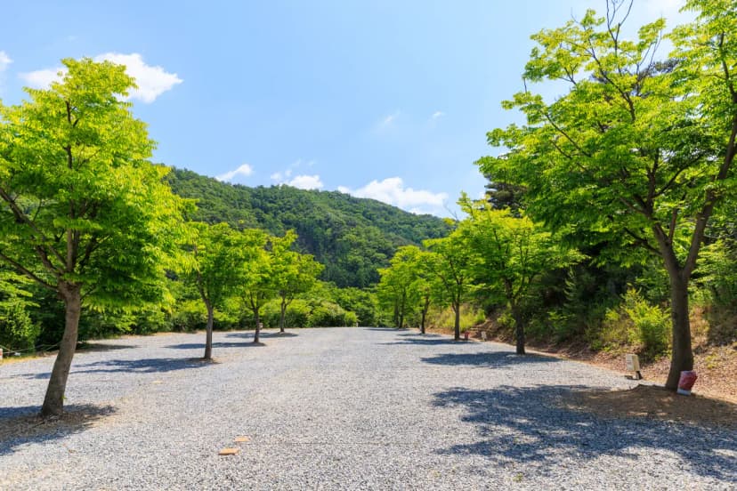 별바라기 캠핑 펜션 사진 7