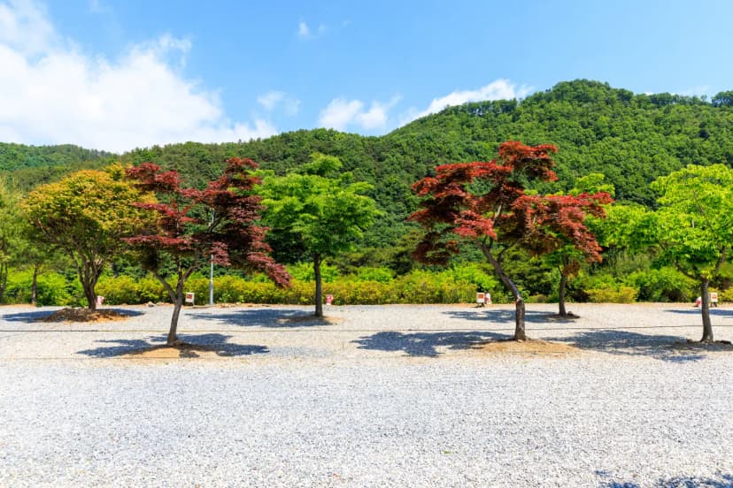 별바라기 캠핑 펜션 사진 8