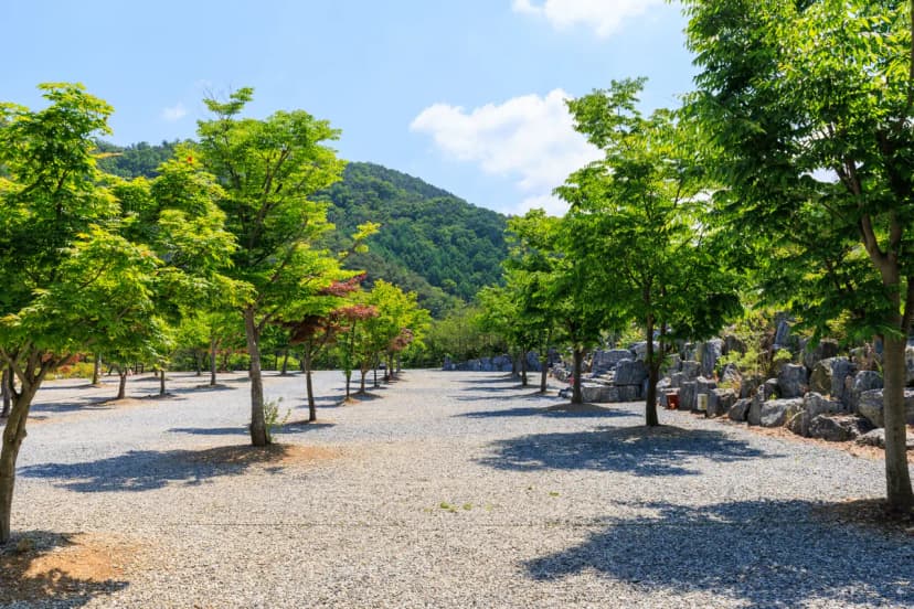 별바라기 캠핑 펜션 사진 9
