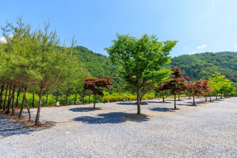 별바라기 캠핑 펜션 사진 10