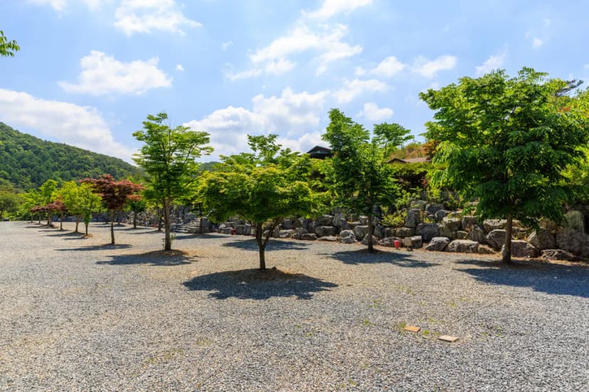 별바라기 캠핑 펜션 사진 11