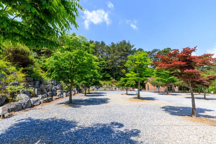 별바라기 캠핑 펜션 사진 14