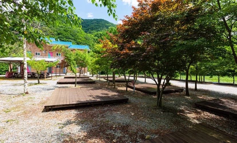 해마루오토캠핑장&펜션 사진 2