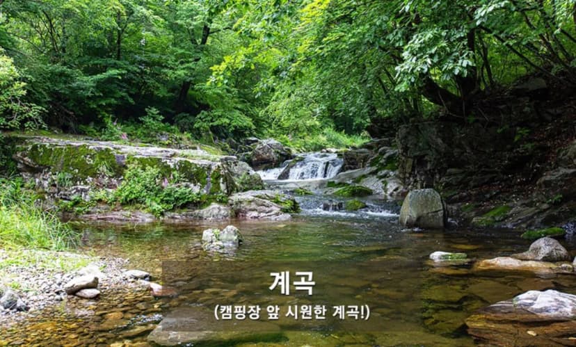해마루오토캠핑장&펜션 사진 6